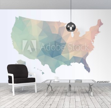 Picture of Polygonal map of Usa